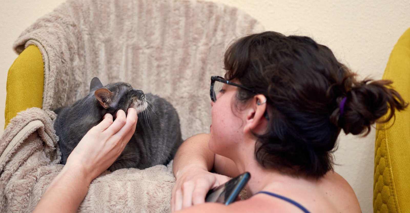 Veterinários chamam atenção para hábito ignorado por muitos tutores 3 pet saudável, ração hipoalergênico, suplemento para cachorro, ração gato filhote, ração para gatos castrados, melhores rações para gatos, petisco para cachorro, petisco natural cachorro, vitamina para cachorro, como saber se o pet está saudável, gato recem nascido, mamadeira para gatinhos recém nascidos