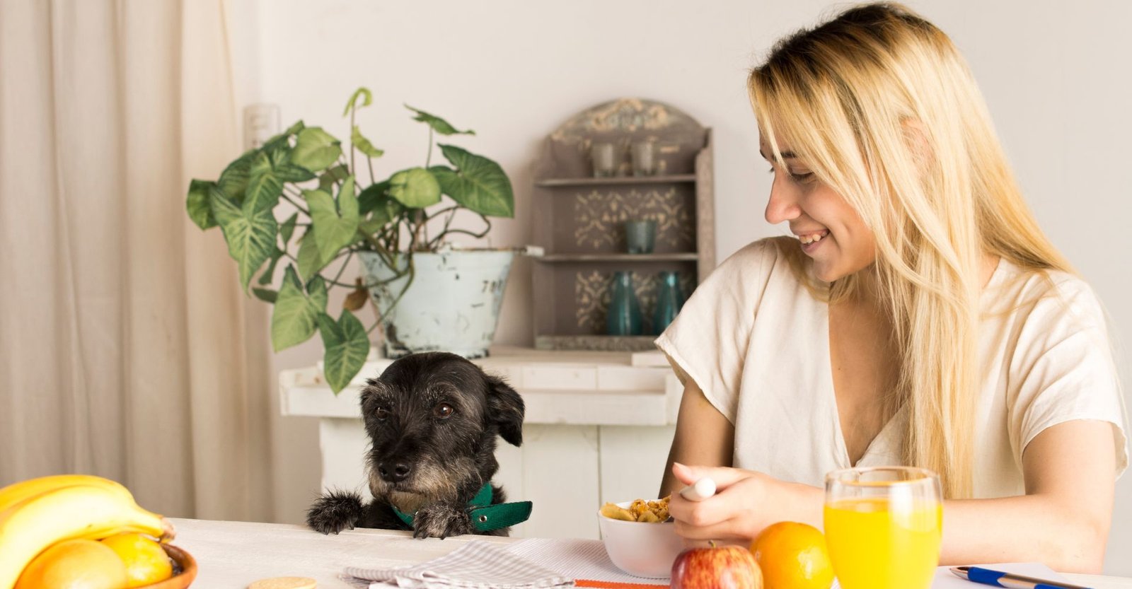 Veterinários chamam atenção para hábito ignorado por muitos tutores 1 pet saudável, ração hipoalergênico, suplemento para cachorro, ração gato filhote, ração para gatos castrados, melhores rações para gatos, petisco para cachorro, petisco natural cachorro, vitamina para cachorro, como saber se o pet está saudável, gato recem nascido, mamadeira para gatinhos recém nascidos