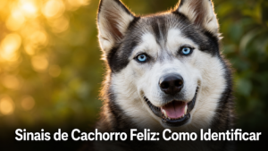 Sinais de cachorro feliz - Seu cachorro está realmente feliz? Os 7 sinais que todo dono deveria reconhecer agora