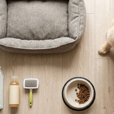 Kit Básico para Pet .coisas para cachorro, tapete higiênico para cachorro, tapete higiênico para cães, caminha petshampoo pet Society, guia para cachorro, brinquedos para cachorro, brinquedo para pet, shampoo para cachorro, máquina de tosa para cachorro, ração para cachorro filhote, ração filhote premium