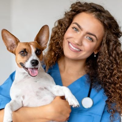 Veterinários chamam atenção para hábito ignorado por muitos tutores